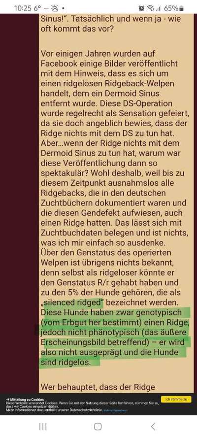 Qualzucht - Warum Aufklärung alleine nicht reicht-Beitrag-Bild