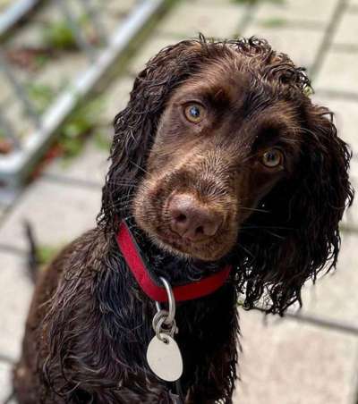 Foto Challenge Nr.133-Beitrag-Bild