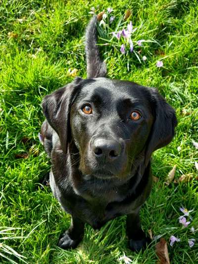 Was hat euch heute gefreut?-Beitrag-Bild