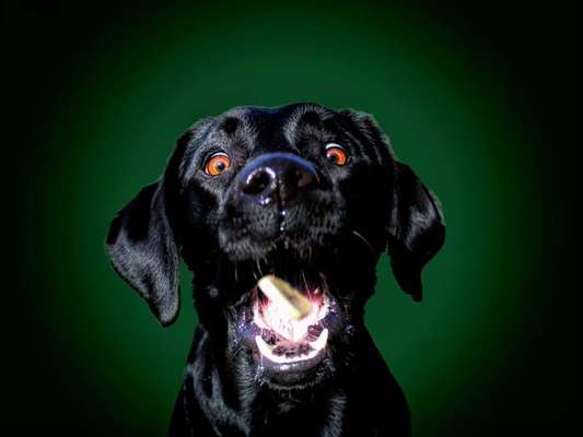 Photoshop und Co.-Beitrag-Bild