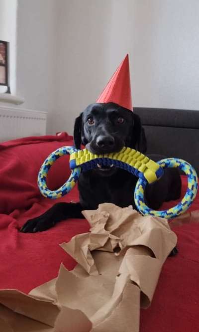 Was hat euch heute gefreut?-Beitrag-Bild