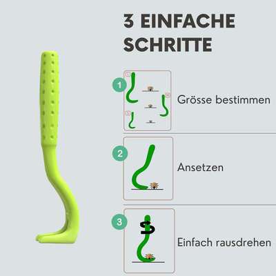 Zecken richtig entfernen-Beitrag-Bild