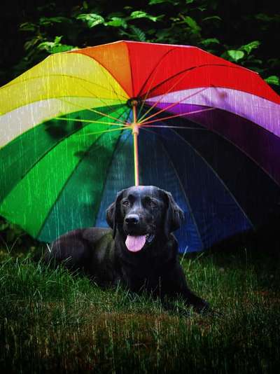 24. Farben Fotochallenge / Regenbogenfarben oder so bunt wie möglich!-Beitrag-Bild