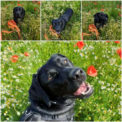 Klischeedenken einiger Menschen-Beitrag-Bild