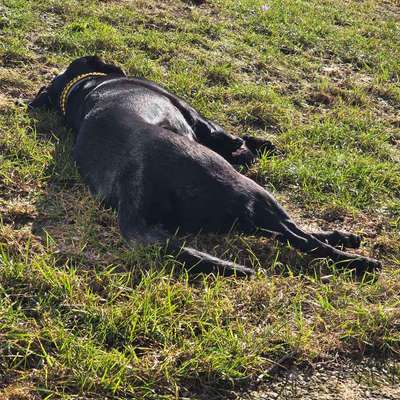 Was hat euch heute gefreut?-Beitrag-Bild