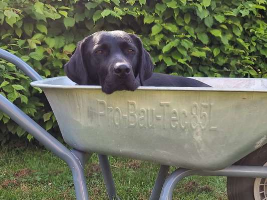 Was hat euch heute gefreut?-Beitrag-Bild