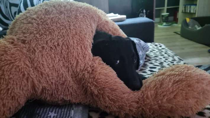 Foto Challenge Nr. 134-Beitrag-Bild