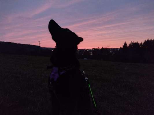 FOTOCHALLENGE 86-Beitrag-Bild