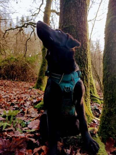 Foto Challenge Nr. 79-Beitrag-Bild