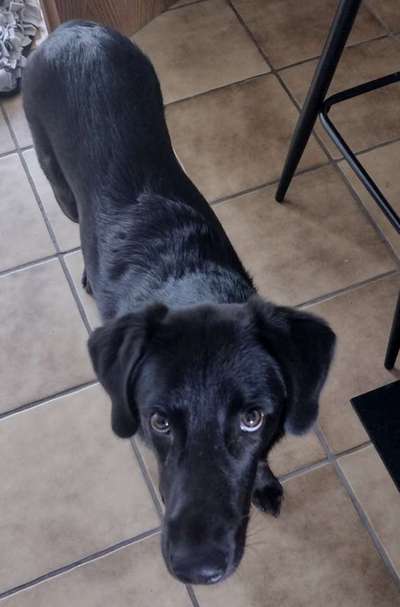 Der Gewichts-Thread-Beitrag-Bild