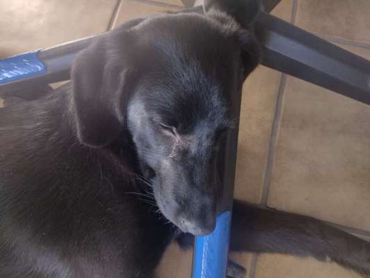 4. Lustiger Schlafplatz-Beitrag-Bild