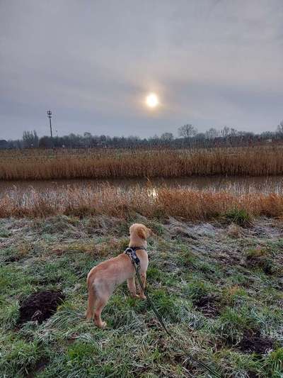 Fotochallenge No. 26                                     Wald und Wiese-Beitrag-Bild