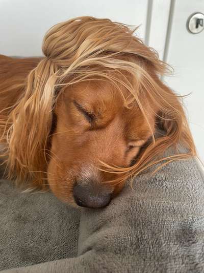 Foto Challenge Nr. 134-Beitrag-Bild