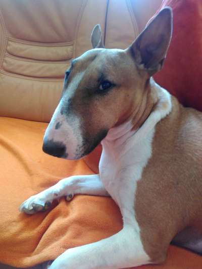 Gemeinsames Kuscheln im Bett!-Beitrag-Bild