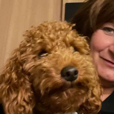 Hundetreffen-Junghunde-Treffen in Unterhaching-Profilbild