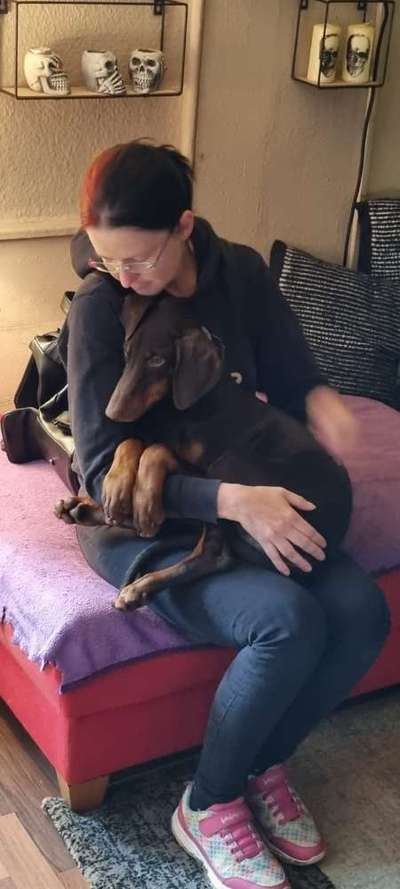 Guter oder schlechter Züchter - Was tun?-Beitrag-Bild