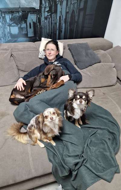 Evtl mal einen Zweithund Ja oder Nein-Beitrag-Bild