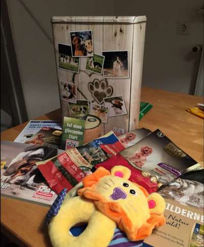 Willkommenbox für Welpen-Beitrag-Bild