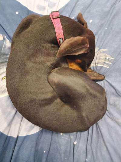 Beim Training völlig unkonzentriert.-Beitrag-Bild