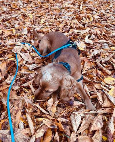 Ton in Ton-Beitrag-Bild