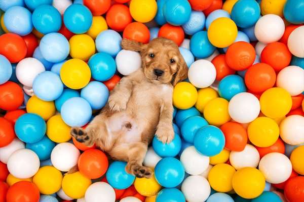 Foto Challenge - Zeigt her eure Bäuche-Beitrag-Bild