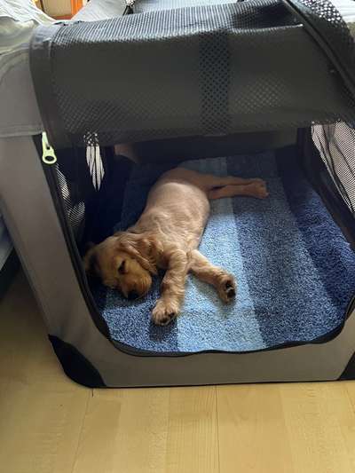 80. Foto  Challenge - Versteckt/ in einer Höhle-Beitrag-Bild