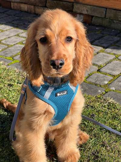 10. Farben Foto-Challenge ---- Blau-Beitrag-Bild