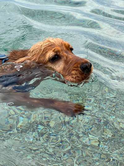 Eure schönsten Fotos mit Wasser-Beitrag-Bild