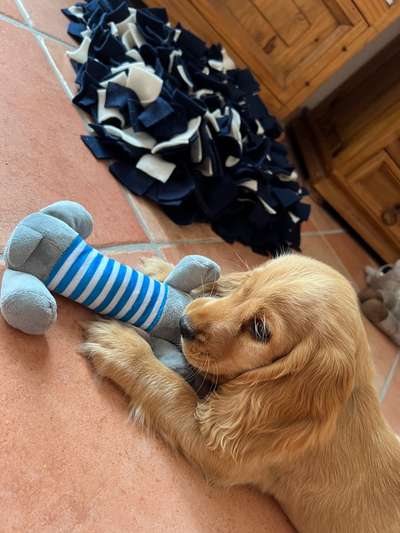 32. Farben Challenge  ** ( BUNTE ) STREIFEN **-Beitrag-Bild