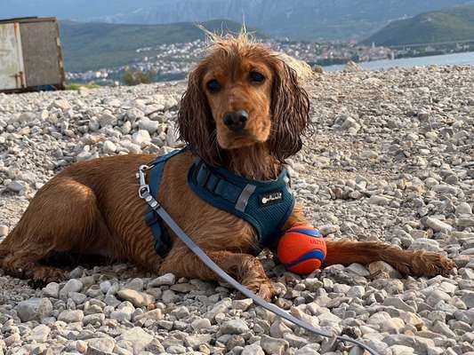 Zeigt eure schönsten Sommerbilder-Beitrag-Bild