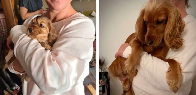 28. Handy-Fotochallenge - Damals und heute-Beitrag-Bild