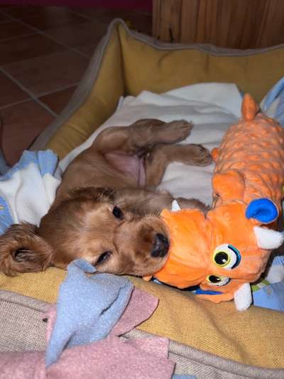 21. Farben / Foto Challenge - Neon / Leuchtfarben-Beitrag-Bild