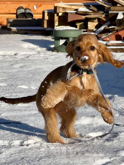 Der erste Schnee, zeigt uns eure tollen Schneemomente-Beitrag-Bild