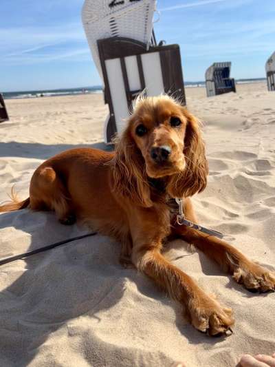 Zeigt eure schönsten Sommerbilder-Beitrag-Bild