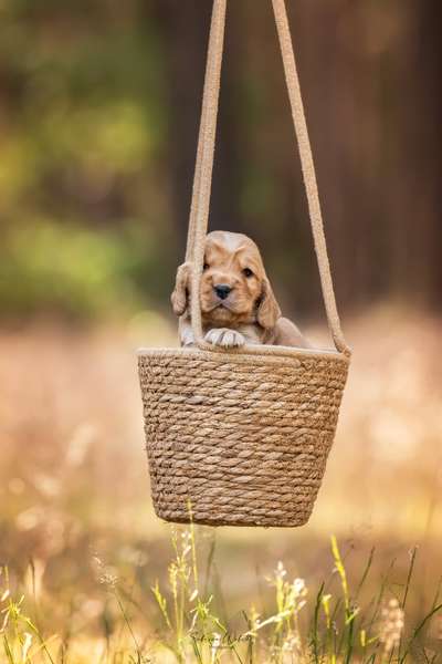 64. Handy Foto Challenge - Hoch hinaus-Beitrag-Bild