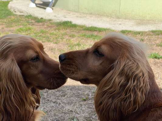 Fotochallenge 130-Beitrag-Bild