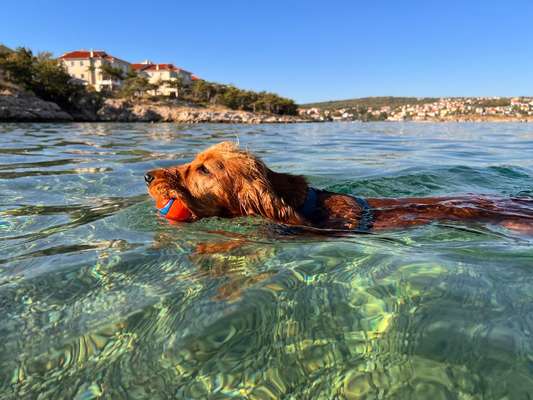 Eure schönsten Fotos mit Wasser-Beitrag-Bild