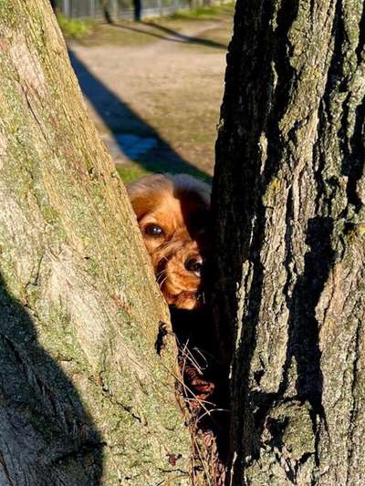 143. Fotochallenge: Ja, wo isser denn?-Beitrag-Bild