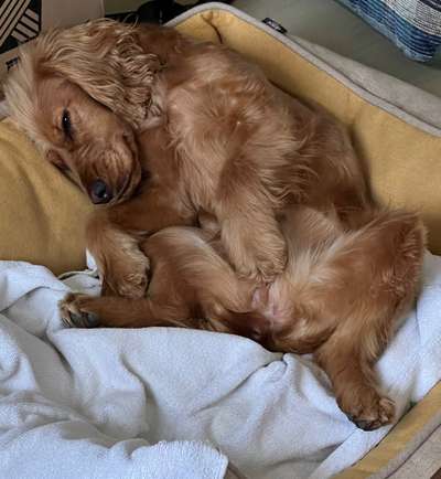 Foto Challenge Nr. 134-Beitrag-Bild