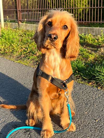 30. Collagen Challenge - Wege/Straßen-Beitrag-Bild