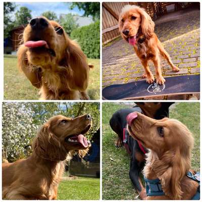 18. Collagen Challenge - Zunge raus!-Beitrag-Bild