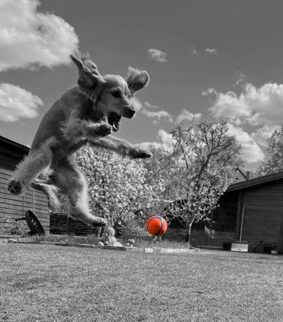 6. Farben Foto Challenge: "ColourKey Effekt"-Beitrag-Bild