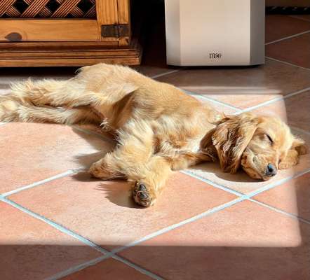 Fotowettbewerb zum Thema "Sonne"-Beitrag-Bild