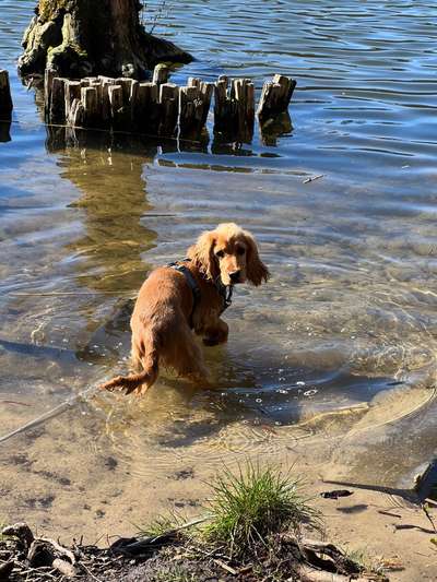 Eure schönsten Fotos mit Wasser-Beitrag-Bild