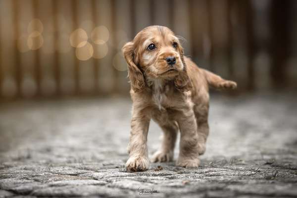 30. Collagen Challenge - Wege/Straßen-Beitrag-Bild