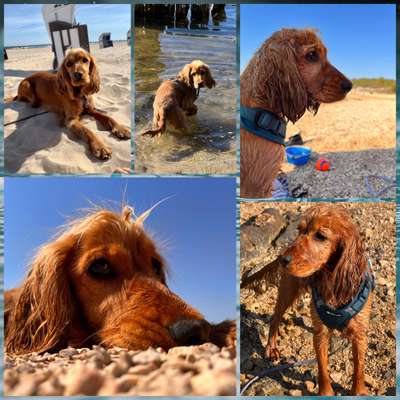 37. Collagen Challenge- Am Strand-Beitrag-Bild