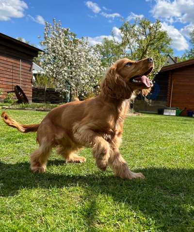 Farben Fotochallenge Thema ,,Grün"-Beitrag-Bild