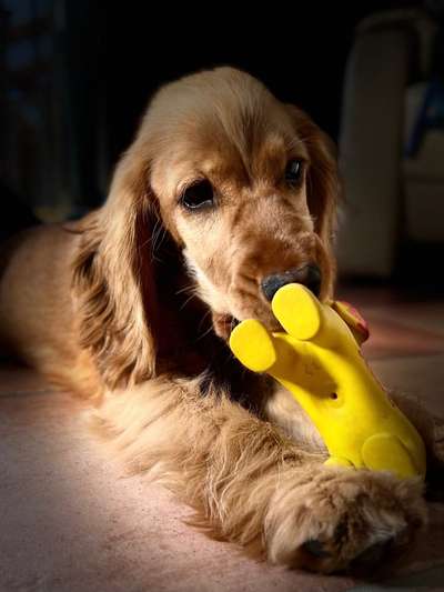 63. Handyfotochallenge   * Nase dran ! *-Beitrag-Bild