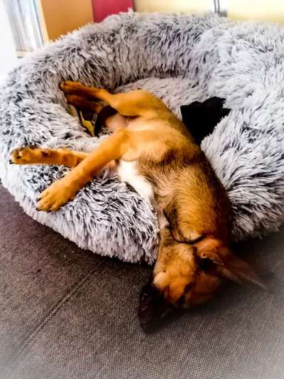 Erfahrung mit Wolkenbett-Beitrag-Bild