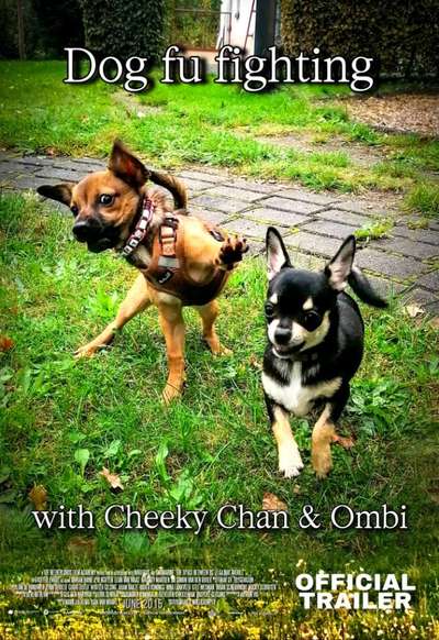 Her mit dem Grimassen-Beitrag-Bild